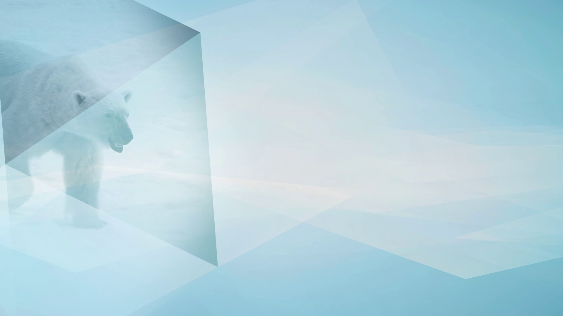 bears-header