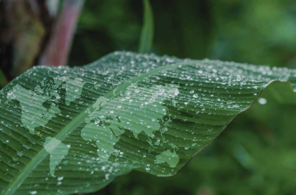 Sustainability